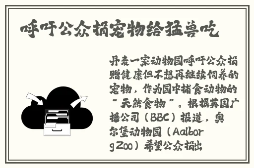 17c555吃瓜网黑料爆料